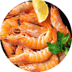 BOILED shrimp@3x